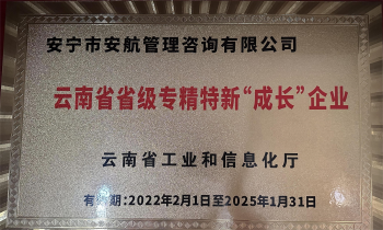 2022年云南省省級專精特新“成長企業(yè)”